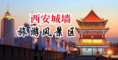苞米地里操逼抠逼裹扎头视频中国陕西-西安城墙旅游风景区